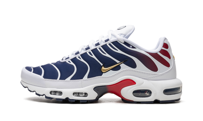 Air Max TN Plus PSG