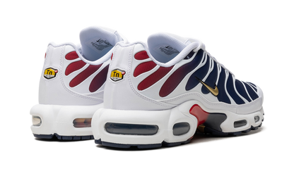 Air Max TN Plus PSG
