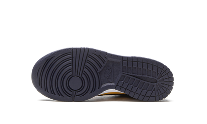 Nike Dunk Low Michigan